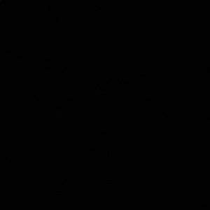 Meet your Posher, Candice